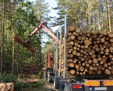 8. Aprofitament Forestal