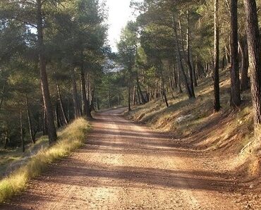 95. Arranjament de camins