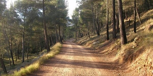 95. Arranjament de camins